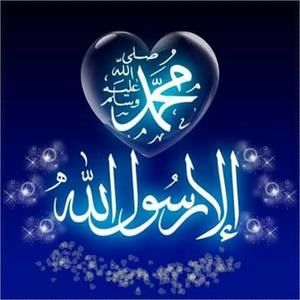 Meet your Posher, Sanae